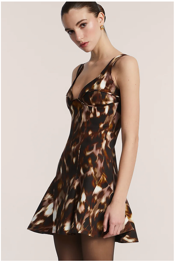Shop the Printed Godet Dress