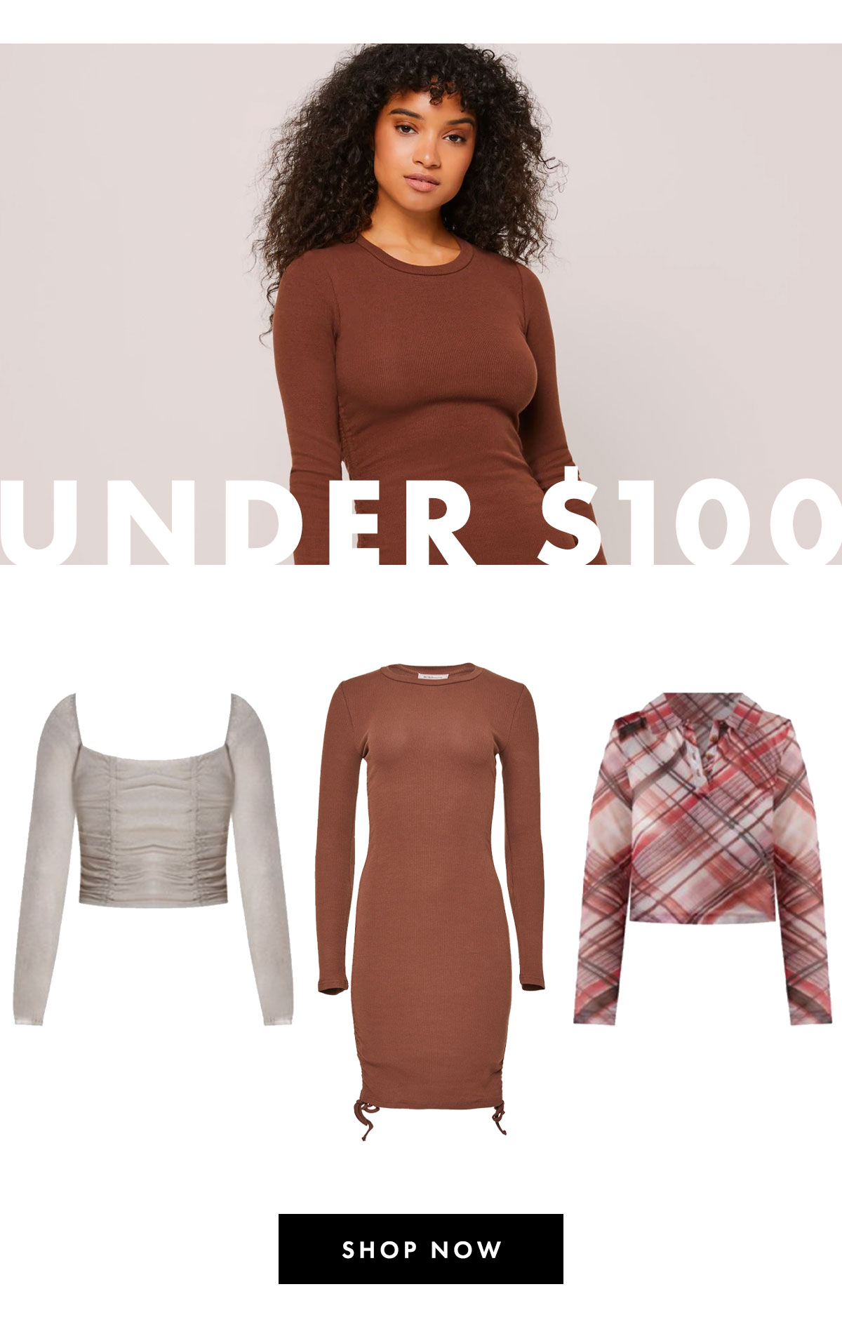 Under $100