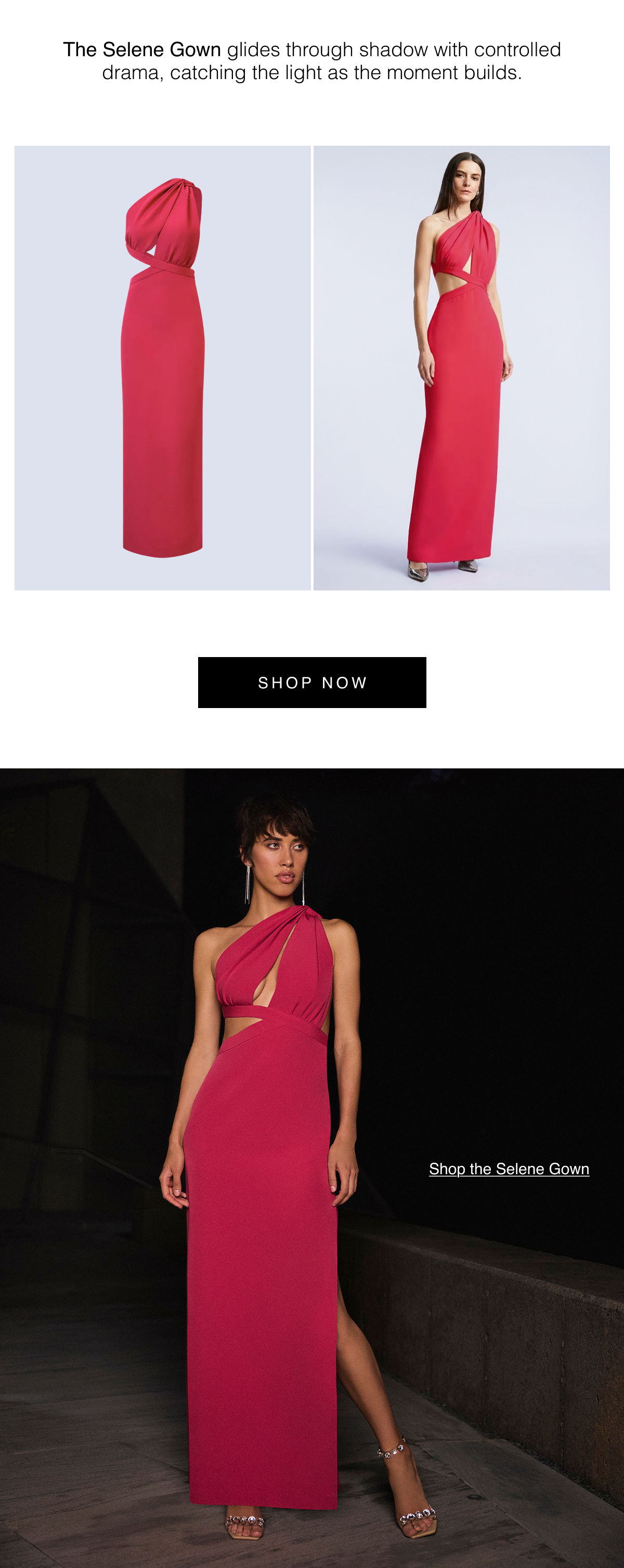 The Selene Gown glides through shadow with controlled drama, catching the light as the moment builds. Shop the Selene Gown