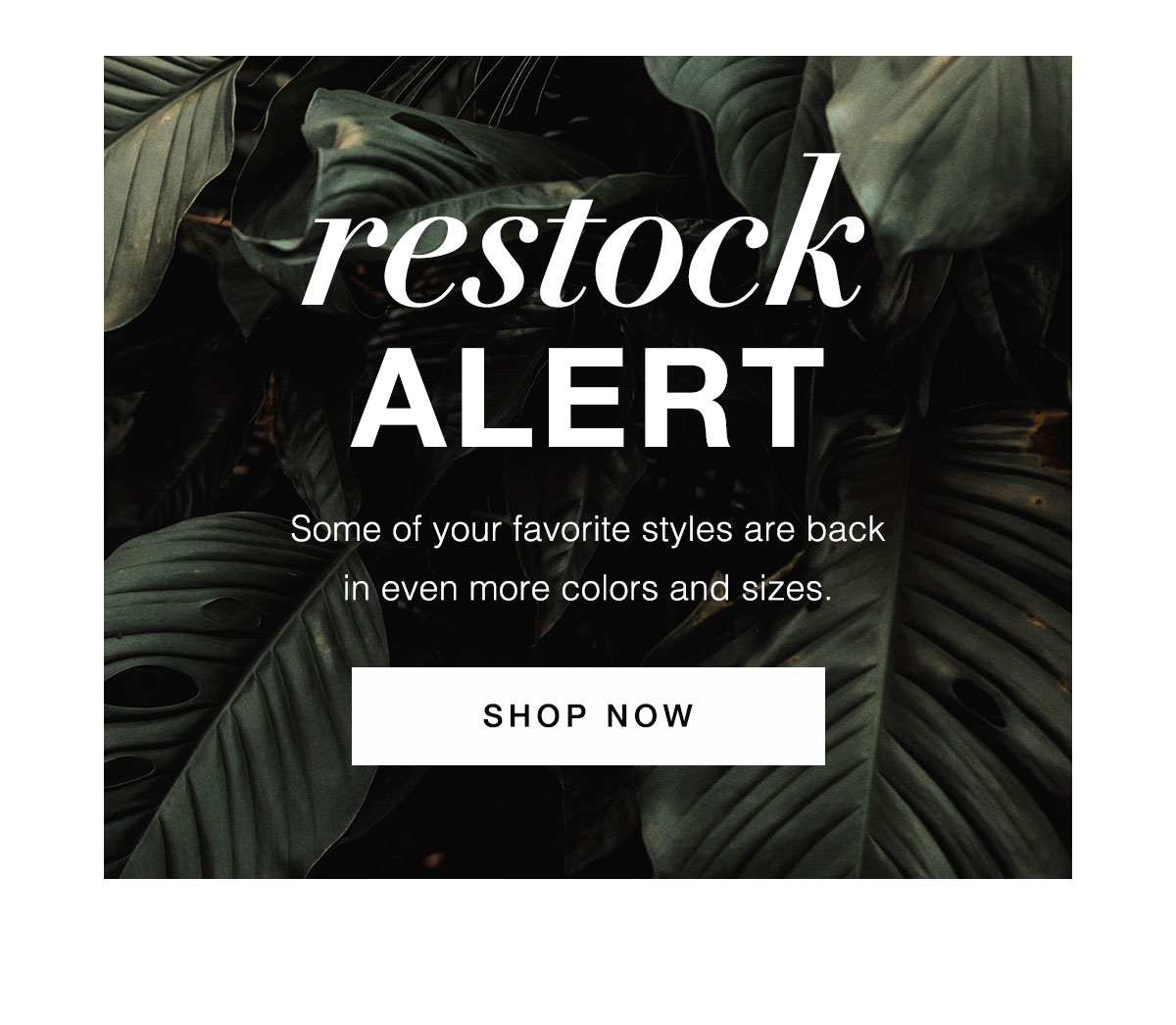 Shop the Sale