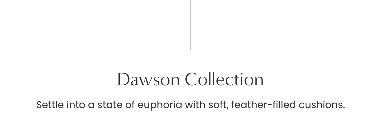 Dawson Collection: Settle into a state of euphoria with soft, feather - filled cushions.