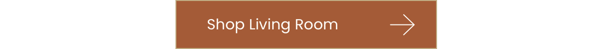Shop Living Room