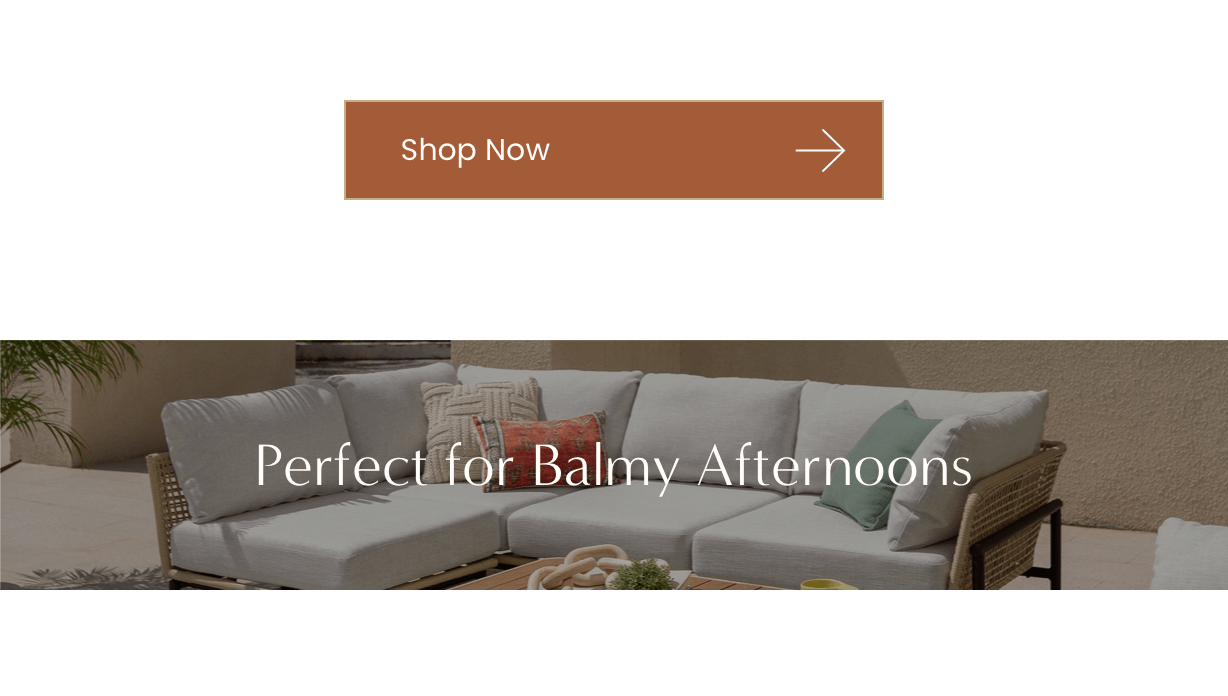 Shop Now >