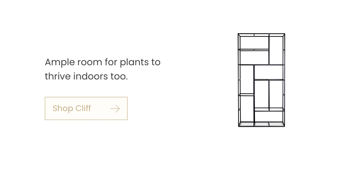 Ample room for plants to thrive indoors too.: Shop Cliff