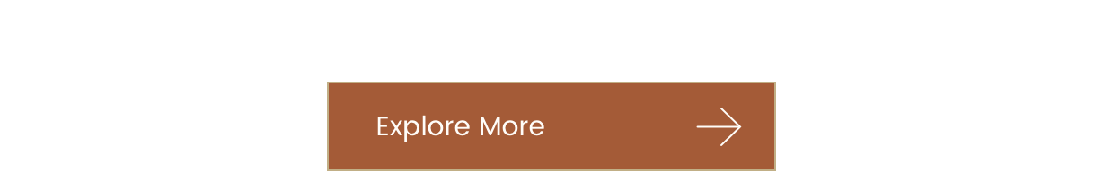 Explore More >