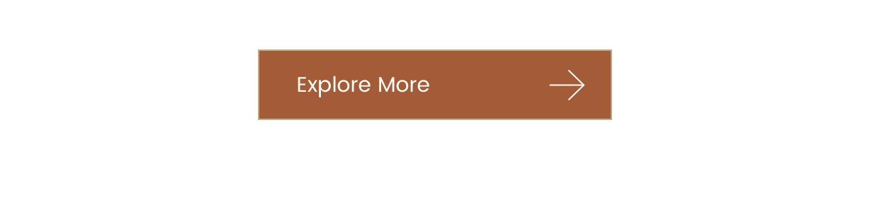 Explore More >