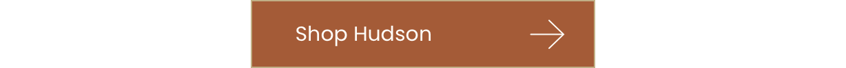 Shop Hudson