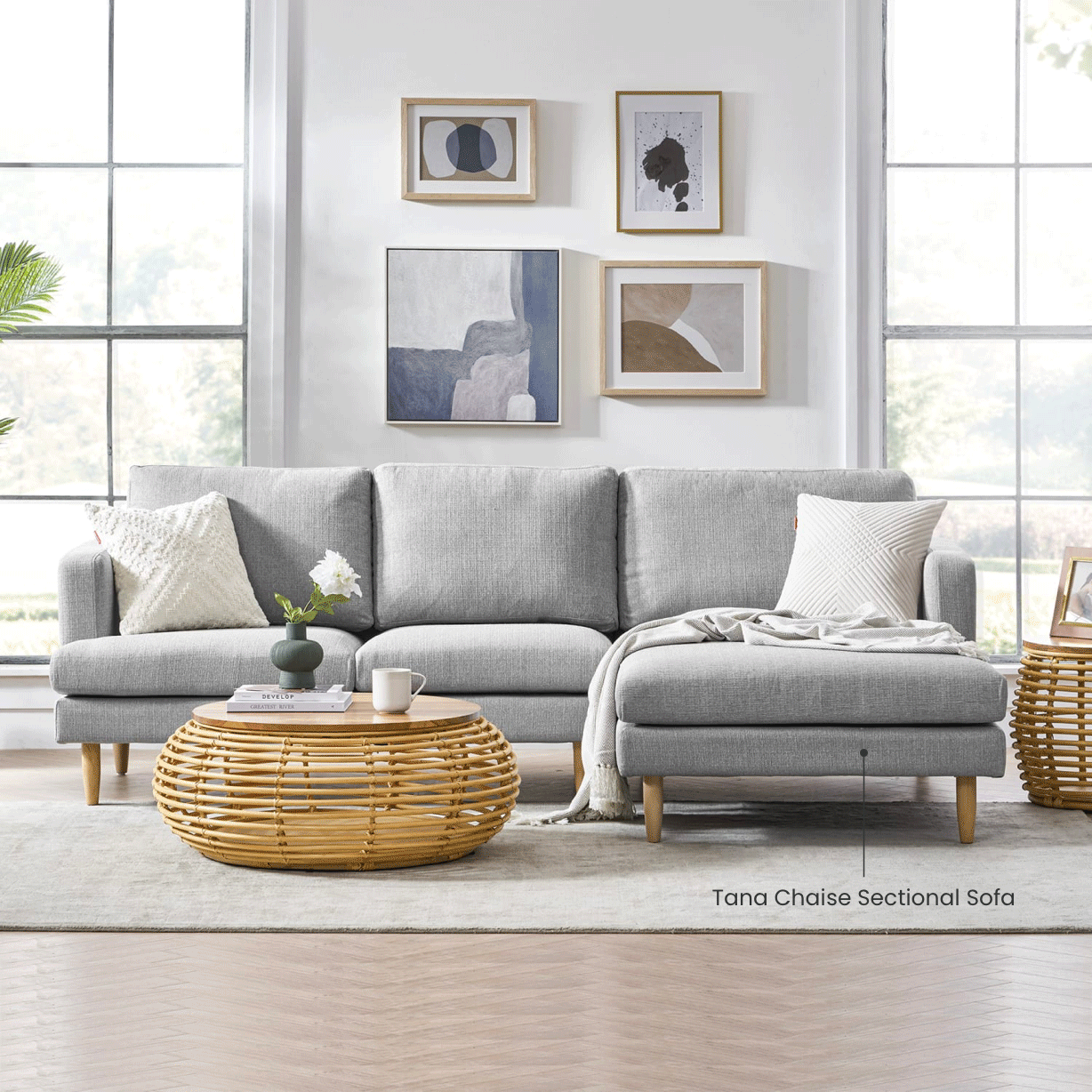 Tana Chaise Sectional Sofa