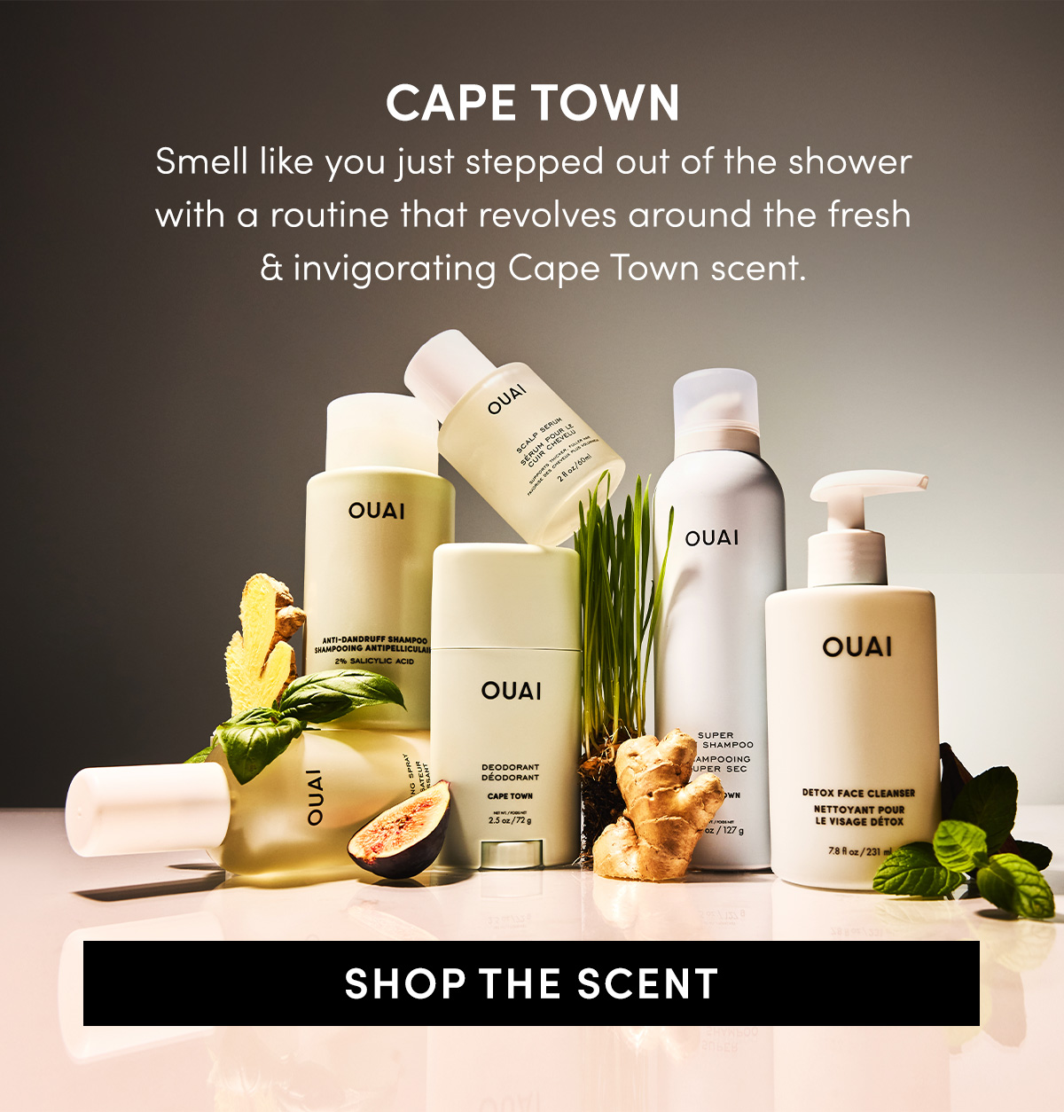 Shop All Cape Town  Shop All Cape Town