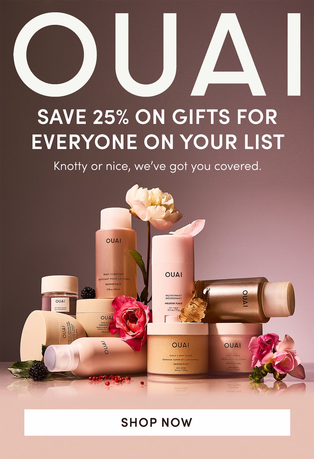 Save 25% on gifts for everyone on your list
