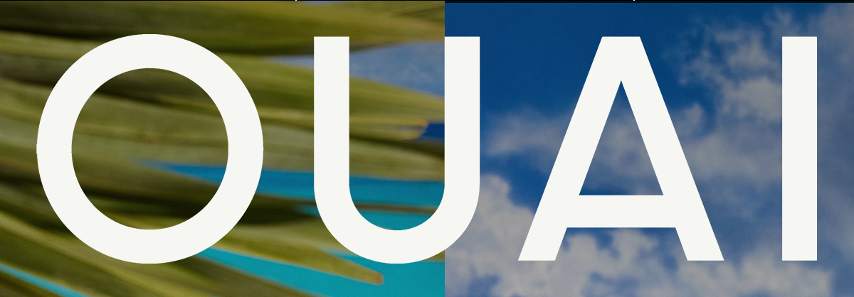 OUAI LOGO OUAI LOGO