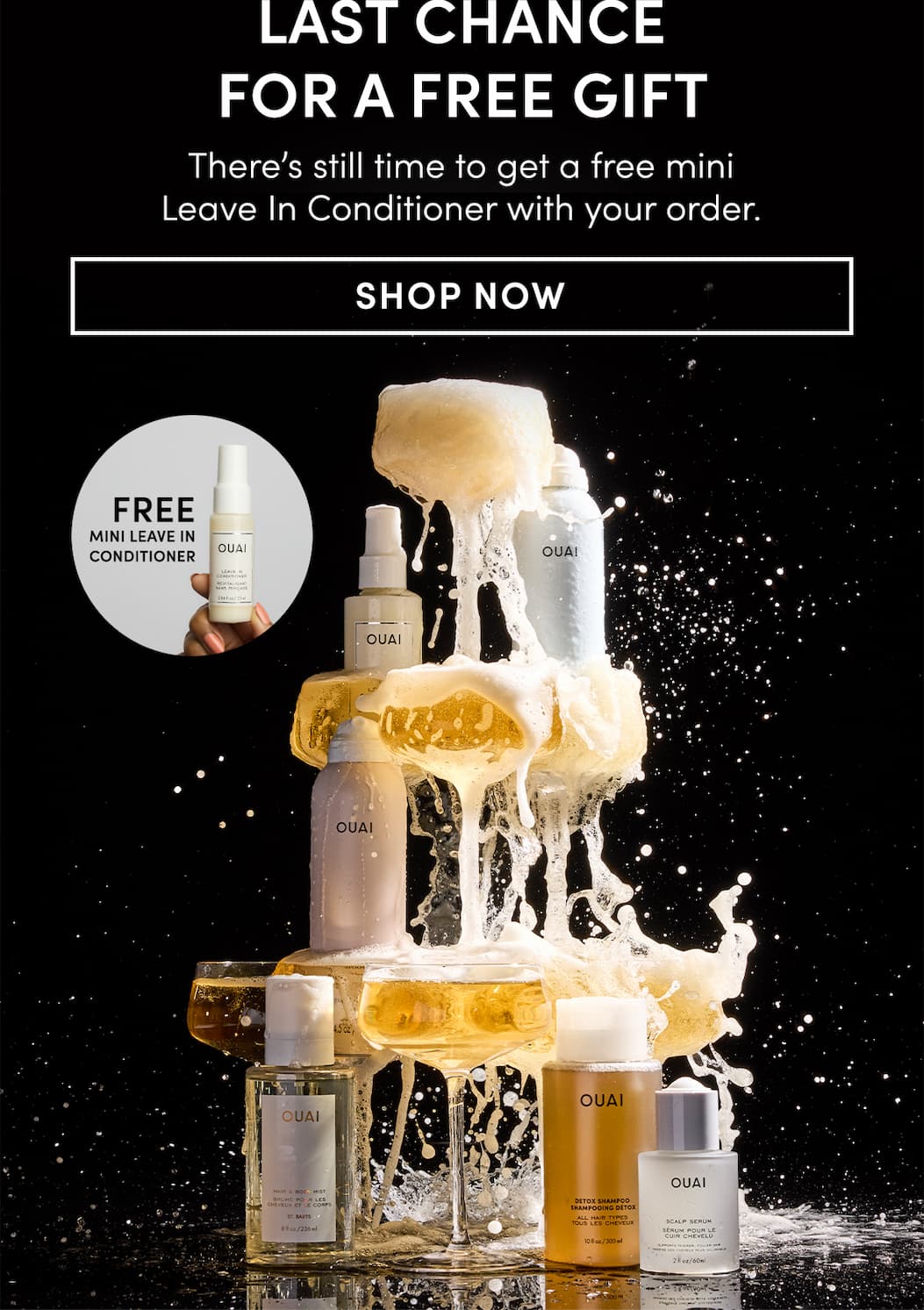 There's still time to get a free mini Leave In Conditioner with your order. Shop Now