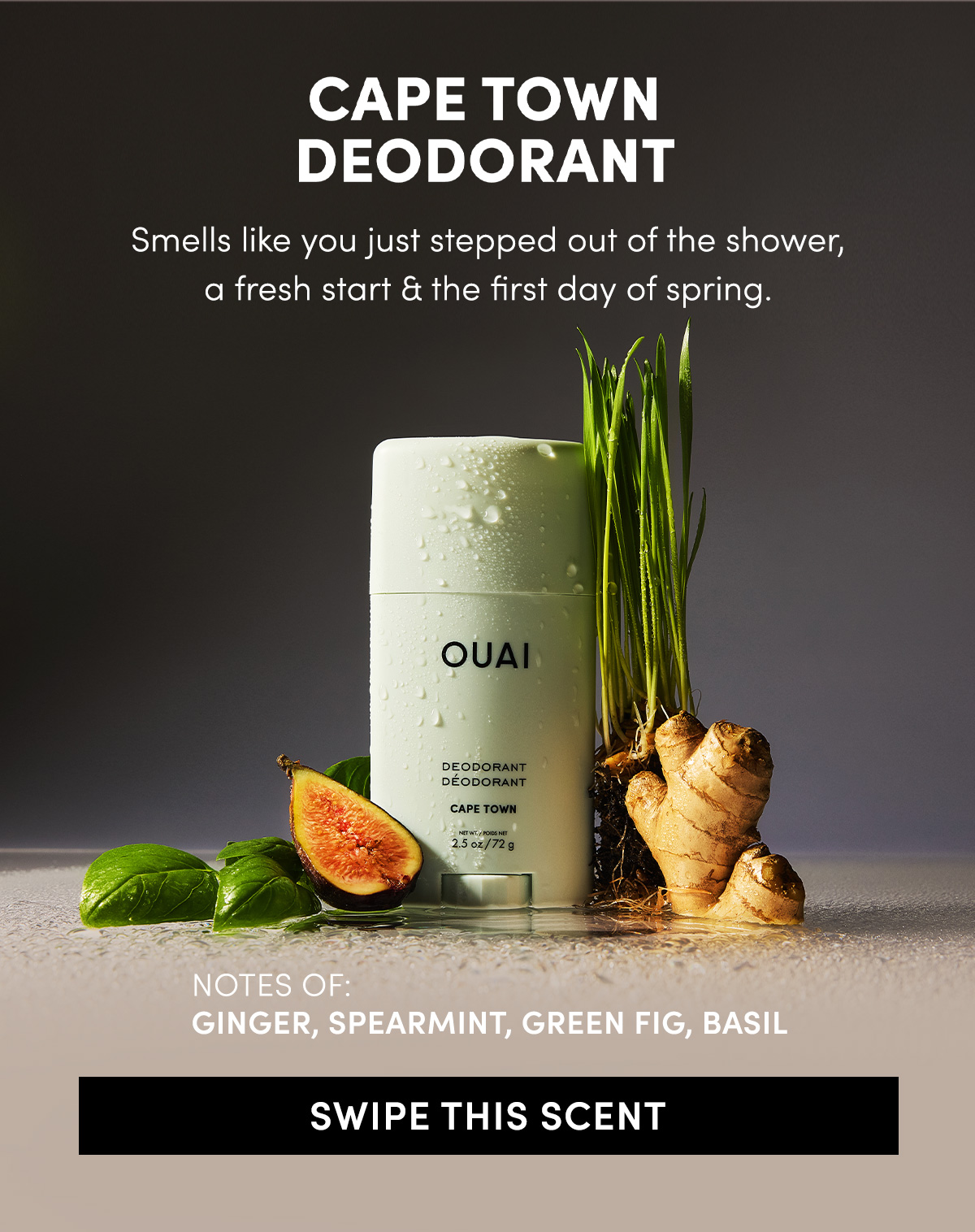 Be the first to shop New Deodorant Be the first to shop New Deodorant