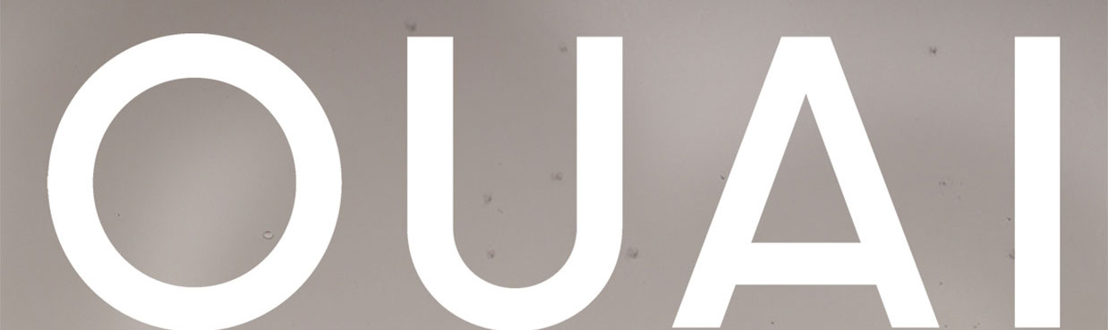 OUAI LOGO