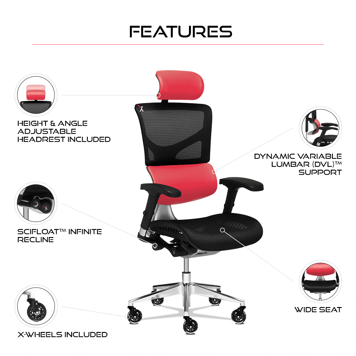 NEW! Limited Edition Anniversary XChair X Chair