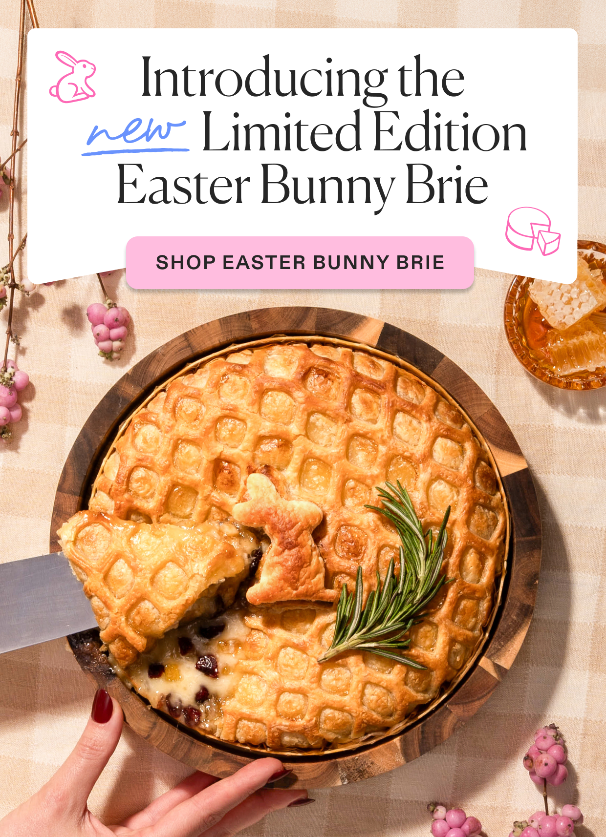 Introducing the new limited edition easter bunny brie