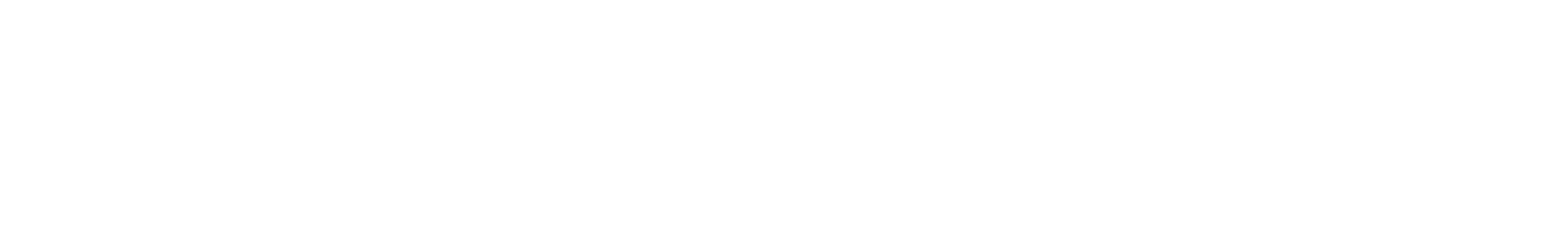 Boarderie Footer Logo