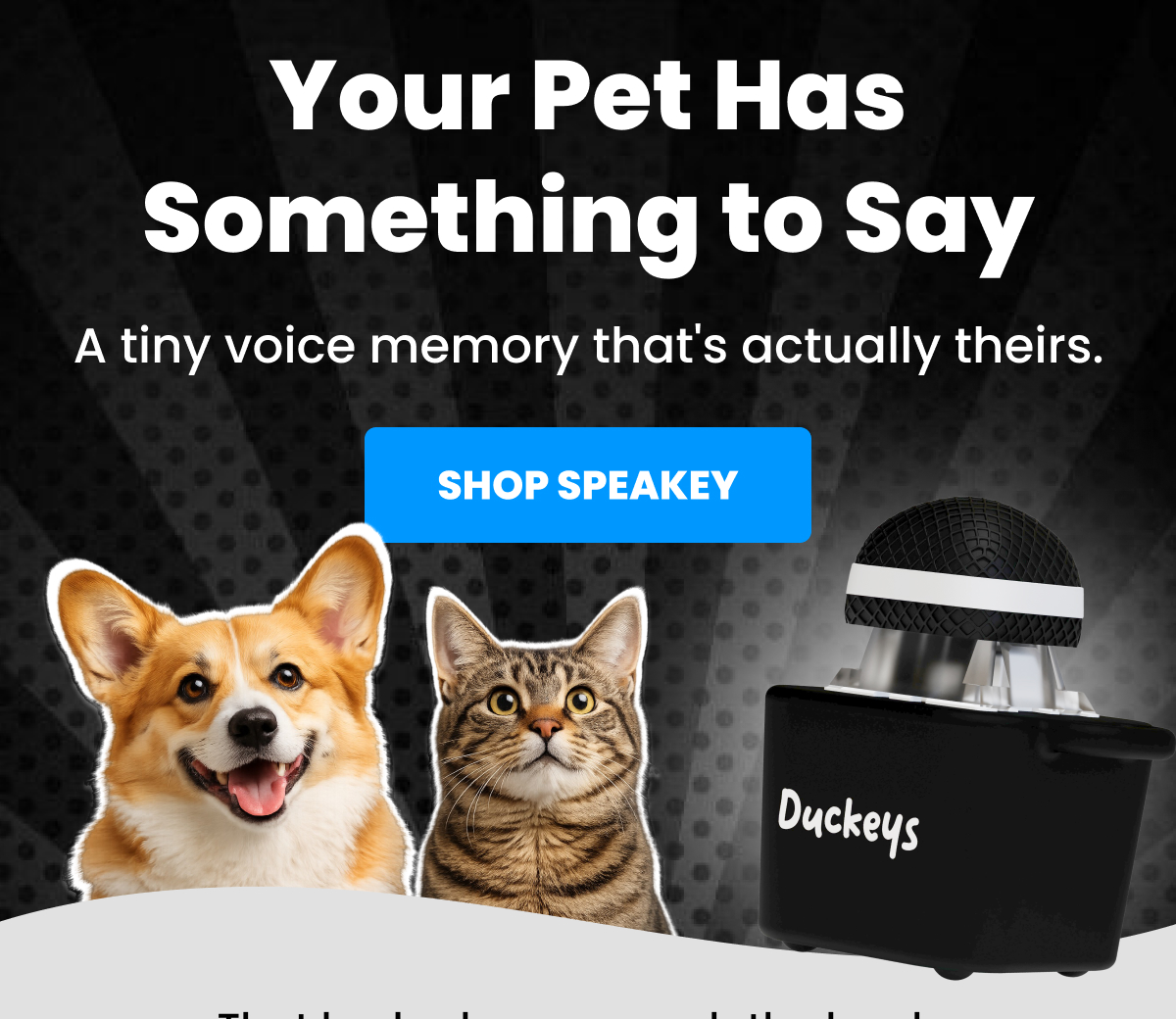 Your Pet Has Something to Say