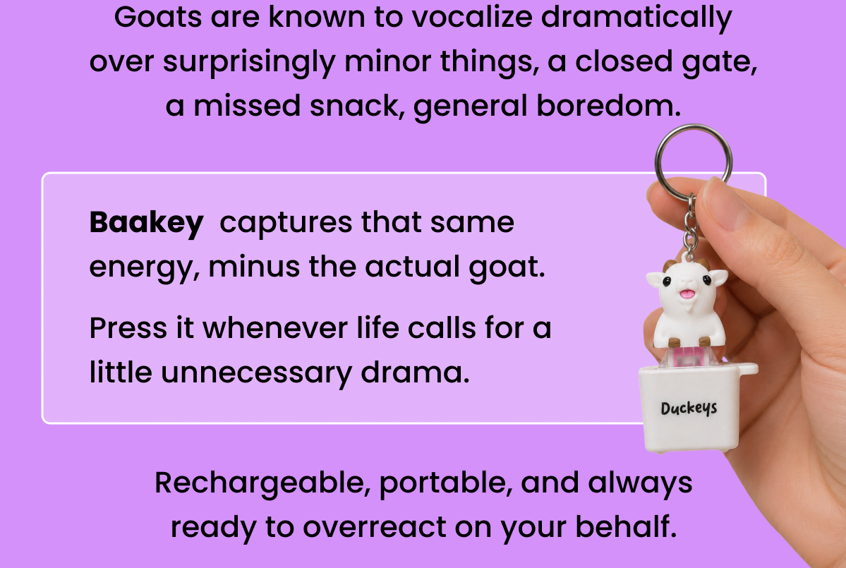 Goats are known to vocalize dramatically over surprisingly minor things, a closed gate, a missed snack, general boredom.