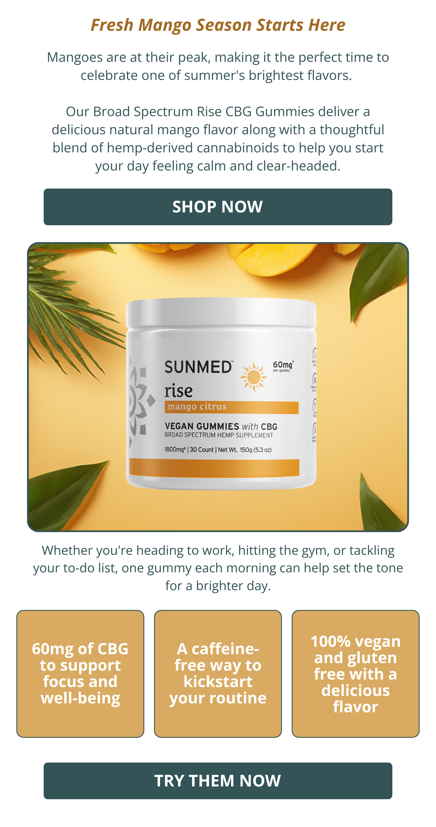 Our Broad Spectrum Rise CBG Gummies deliver a delicious natural mango flavor along with a thoughtful blend of hemp-derived cannabinoids to help you start your day feeling calm and clear-headed.
