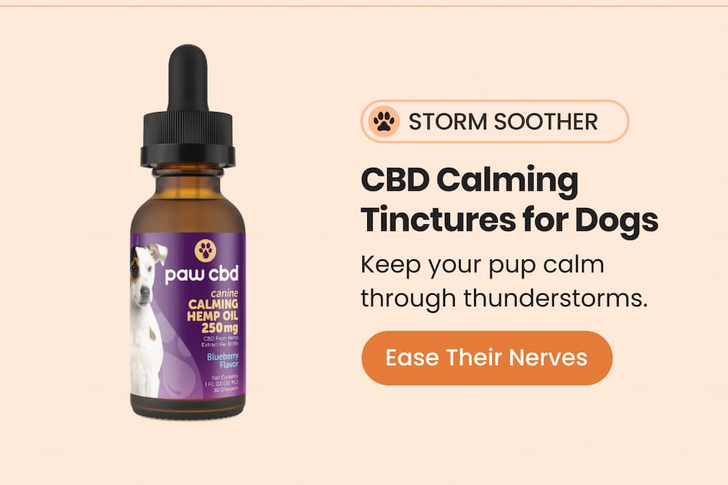 CBD Calming Tinctures for Dogs