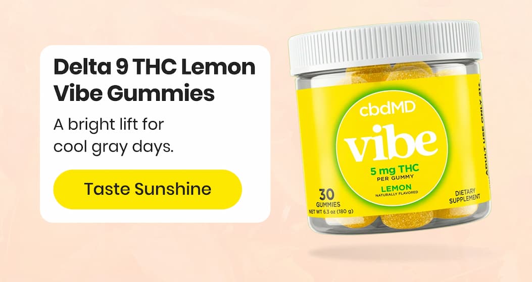 Delta 9 THC Lemon Vibe Gummies