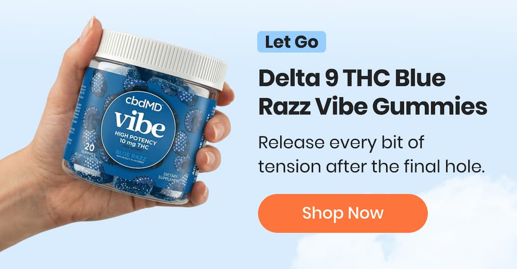 Delta 9 THC Blue Razz Vibe Gummies