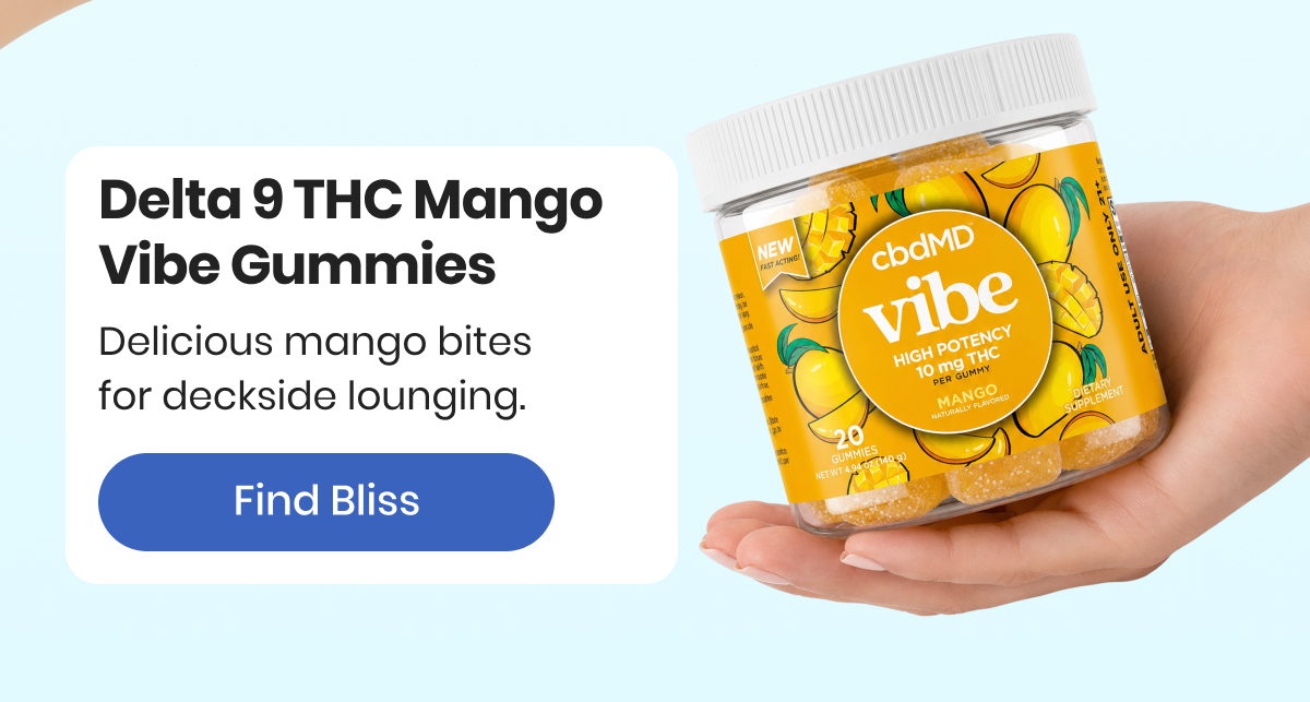 Delta 9 THC Mango Vibe Gummies