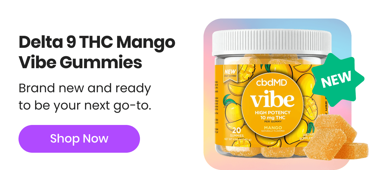 Delta 9 THC Mango Vibe Gummies