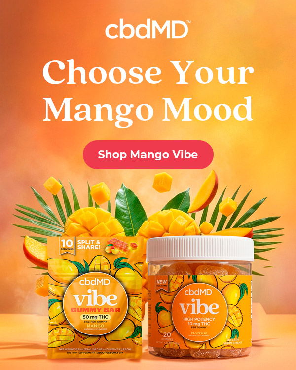 Mango Mood Starts Here