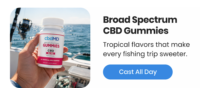Broad Spectrum CBD Gummies