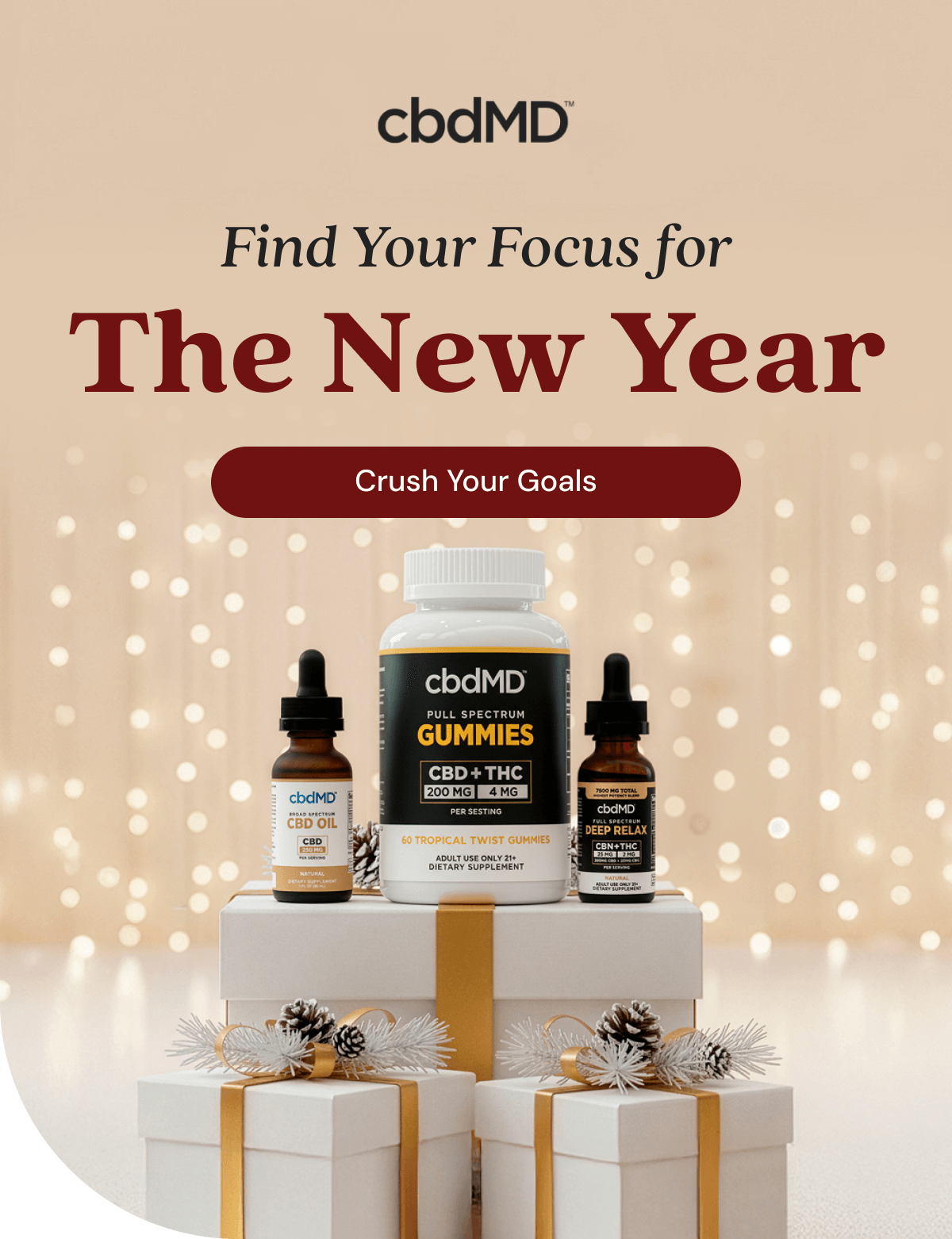 Find Your Focus for The New Year