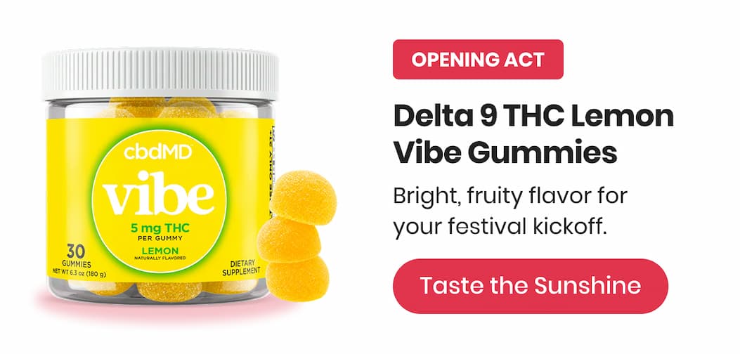 Delta 9 THC Lemon Vibe Gummies