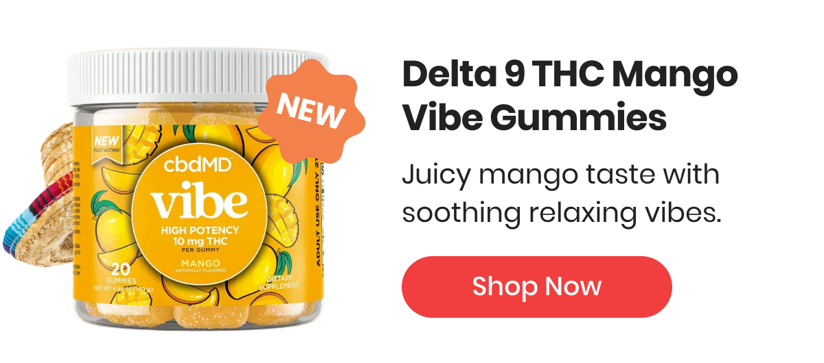 Delta 9 THC Mango Vibe Gummies