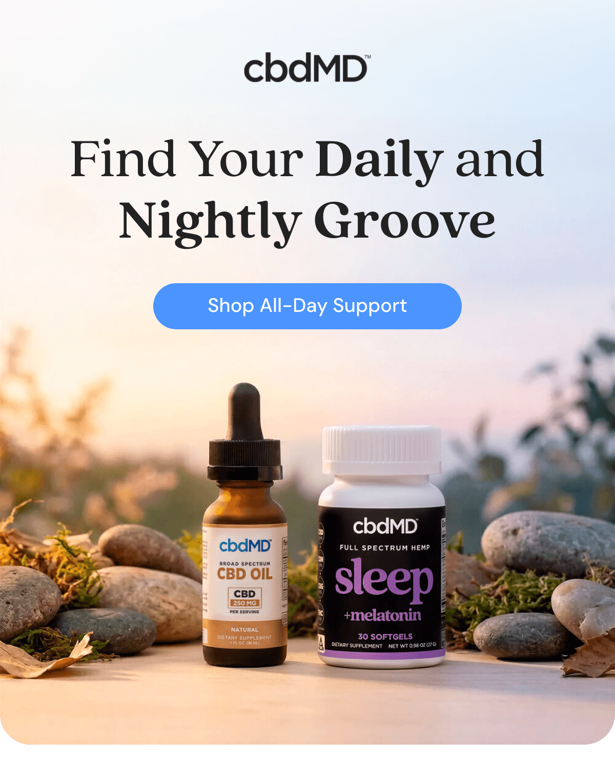 Find Your Daily and Nightly Groove