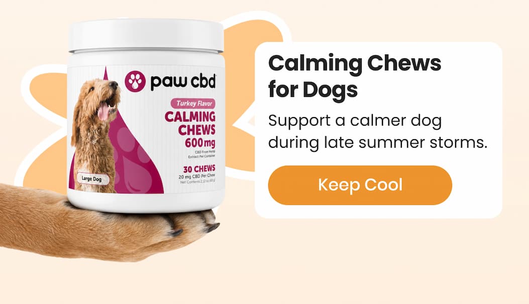 Calming Chews for Dogs