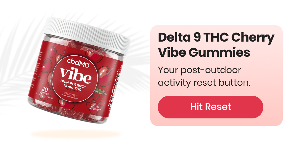 Delta 9 THC Cherry Vibe Gummies