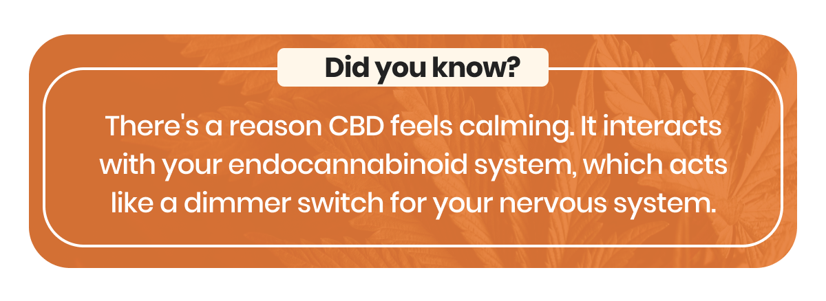 Did you know?