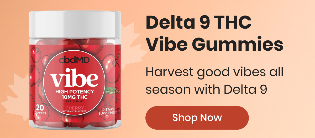 Delta 9 THC Vibe Gummies