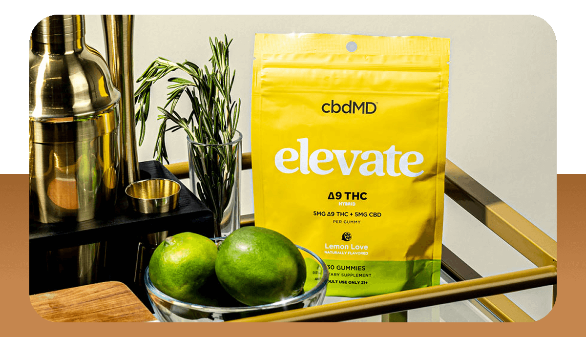 The Art of Daily Care