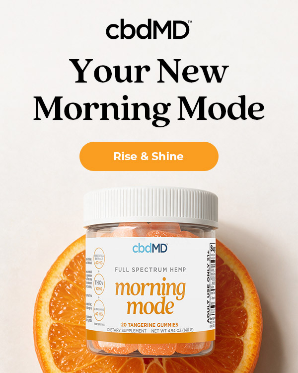 Your New Morning Mode