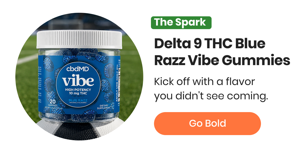 Delta 9 THC Blue Razz Vibe Gummies