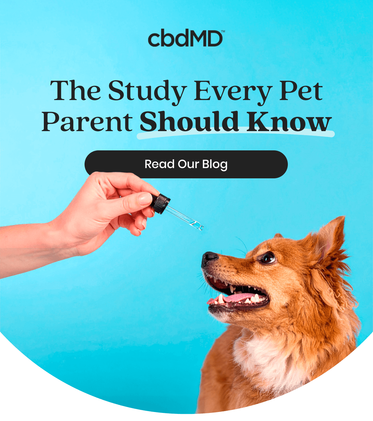 The Study Every Pet Parent Should Know