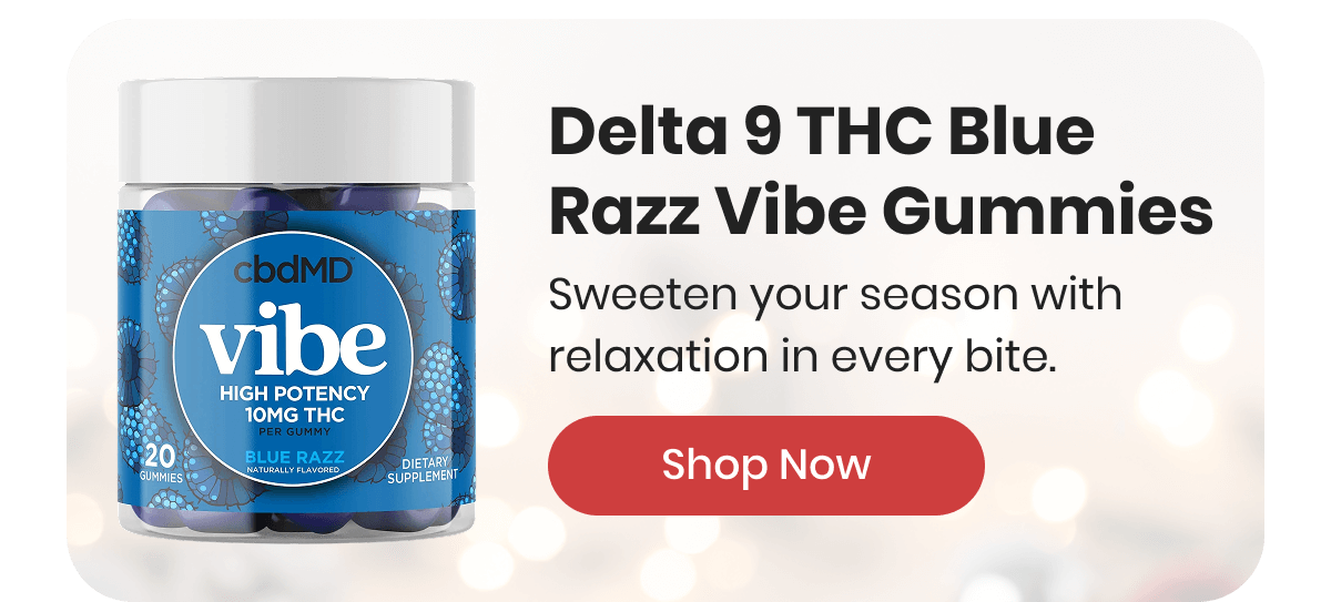 Delta 9 THC Blue Razz Vibe Gummies