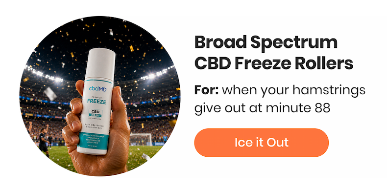 Broad Spectrum CBD Freeze Rollers