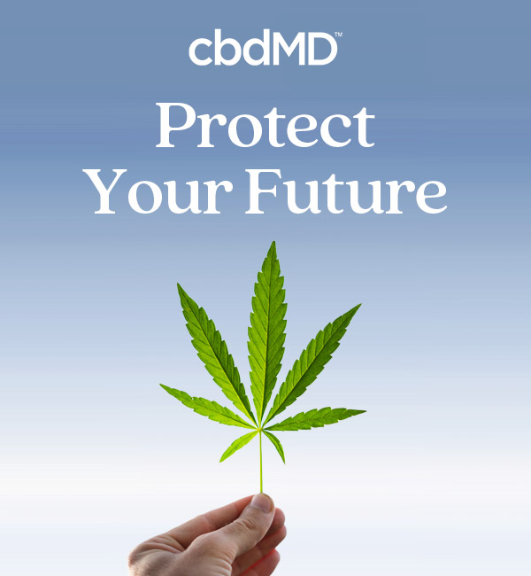 Protect Your Hemp