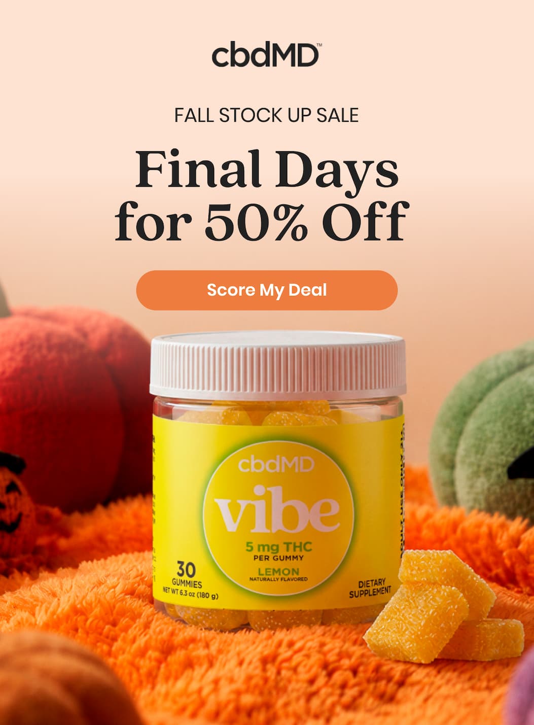 FALL STOCK UP SALE Final Days for 50% Off&nbsp;