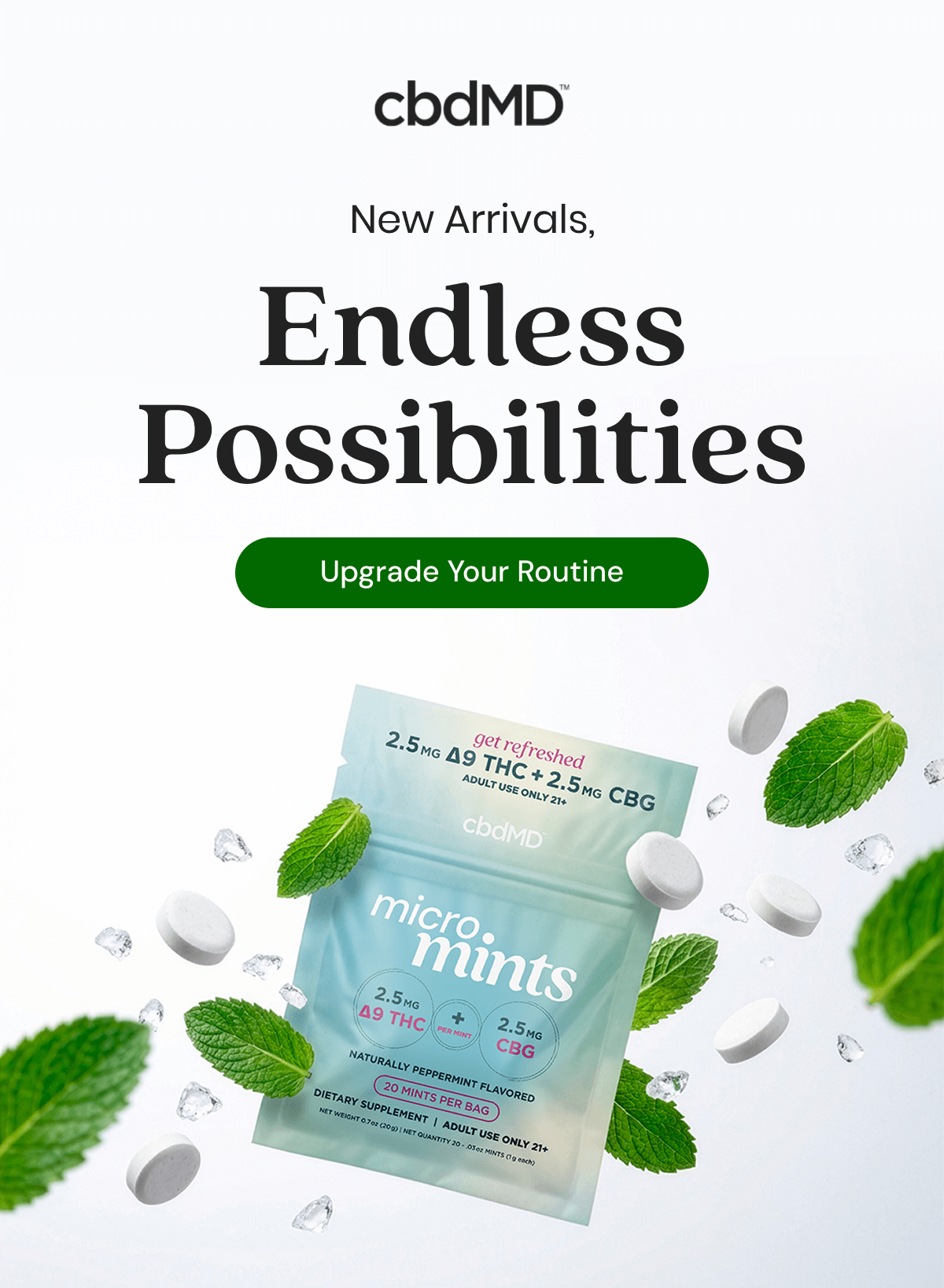 New Arrivals, Endless Possibilities