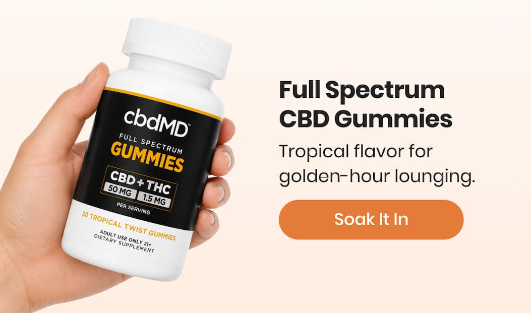 Full Spectrum CBD Gummies