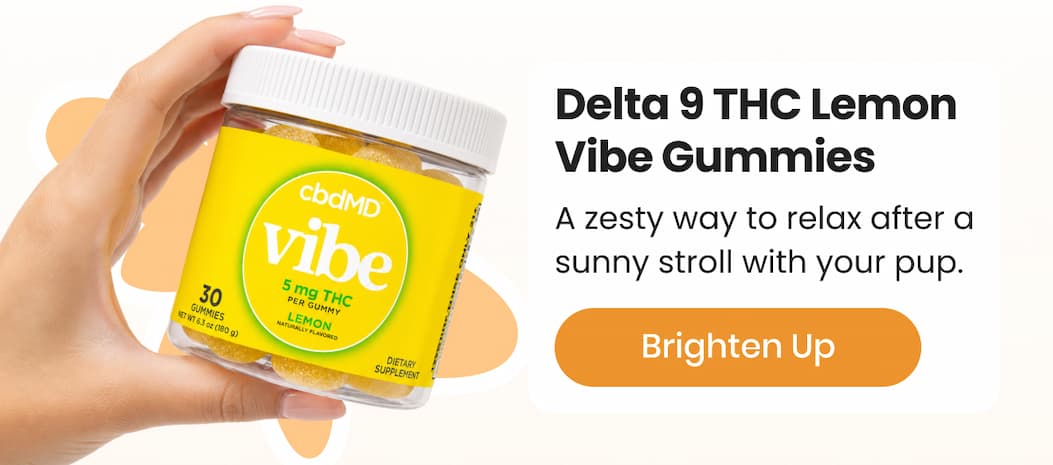Delta 9 THC Lemon Vibe Gummies